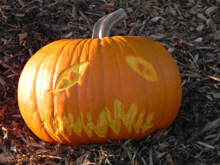 Wide, Nipomo Pumpkin Patch best carving idea